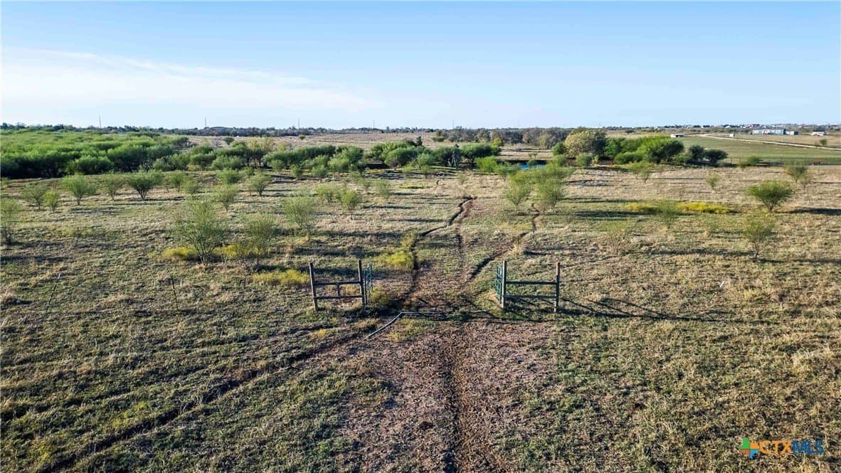 262 acres in Williamson County - photo 23