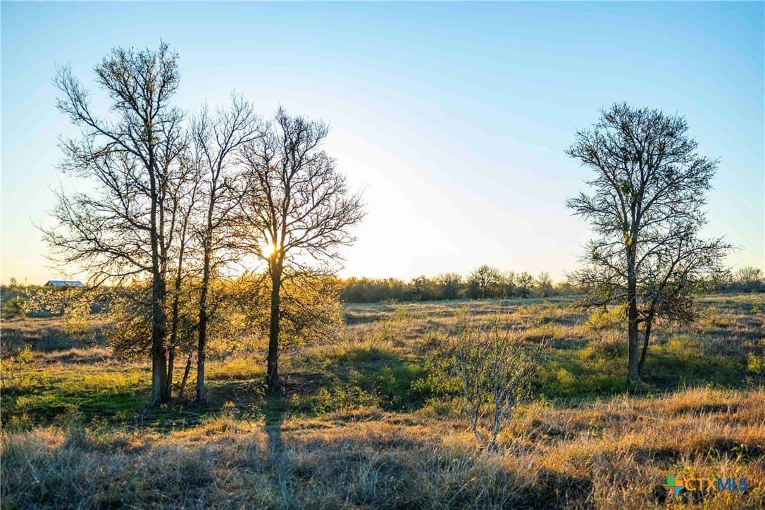 262 acres in Williamson County