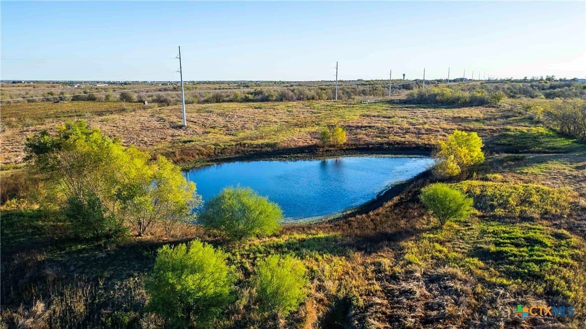 262 acres in Williamson County - photo 10