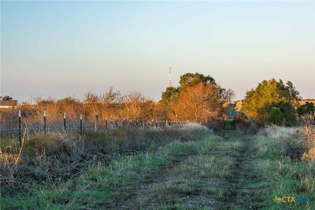 262 acres in Williamson County - photo 6