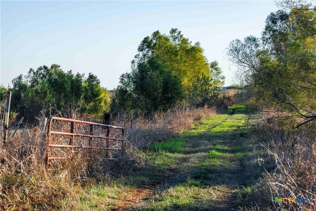 262 acres in Williamson County - photo 8