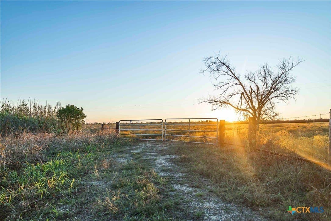 262 acres in Williamson County - photo 9