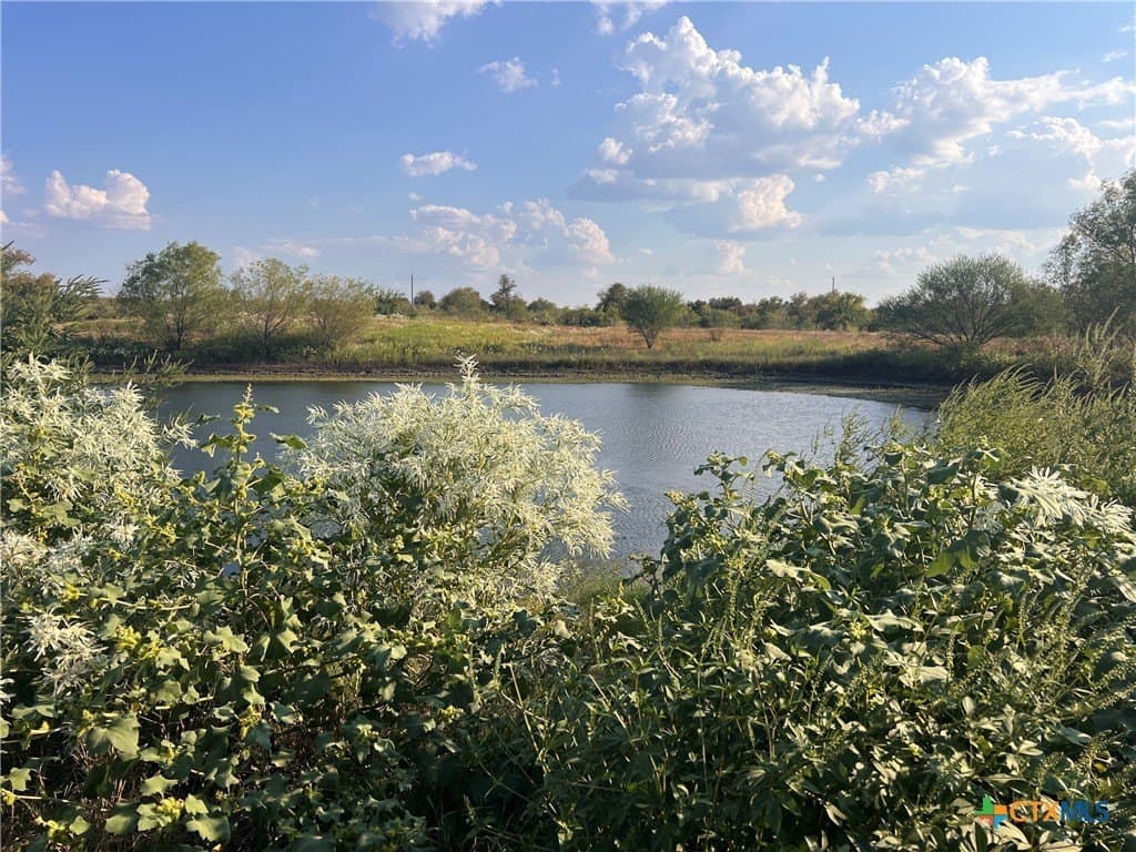 262 acres in Williamson County gallery image 4