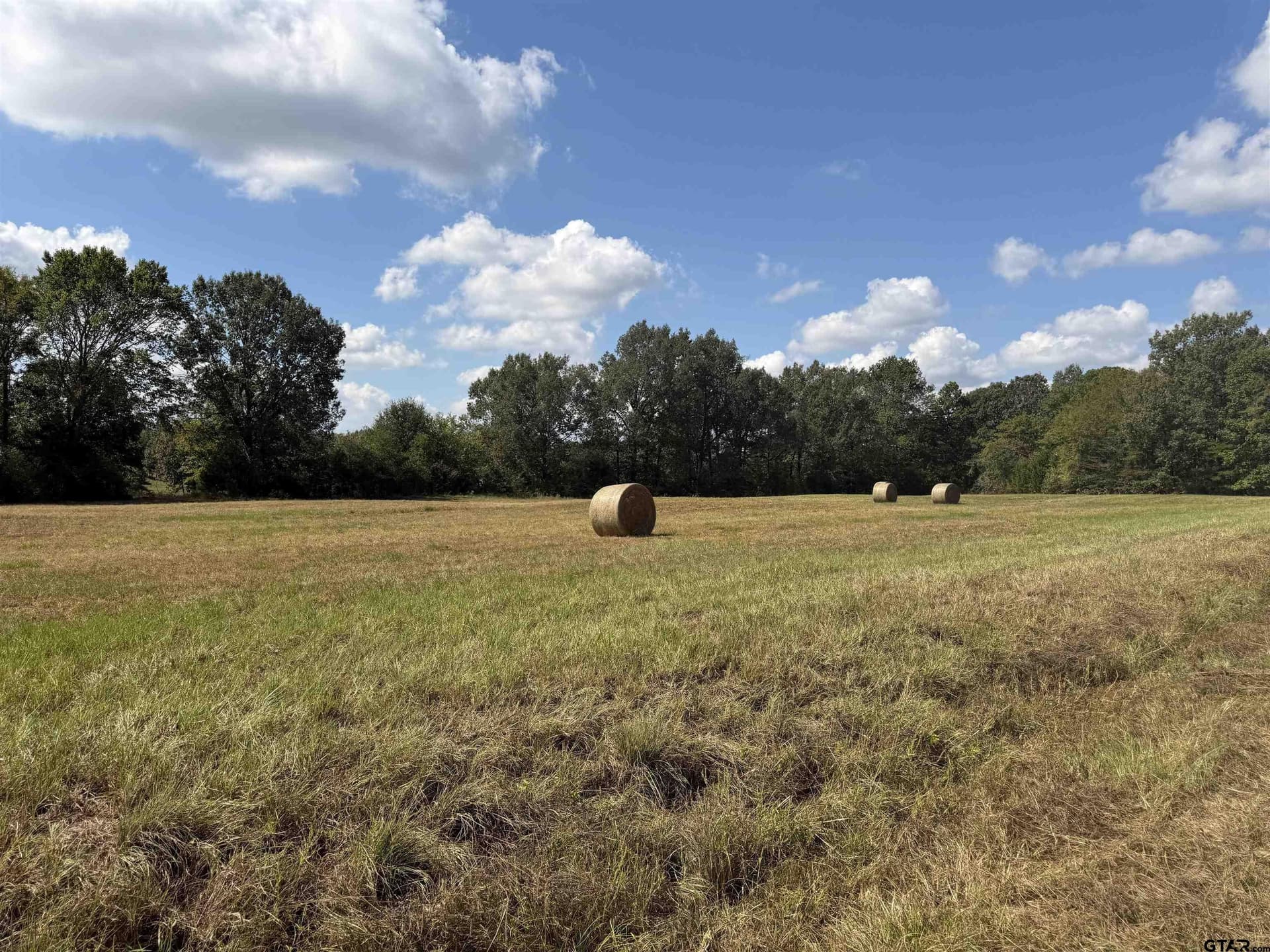199.35 acres in Morris County - photo 5