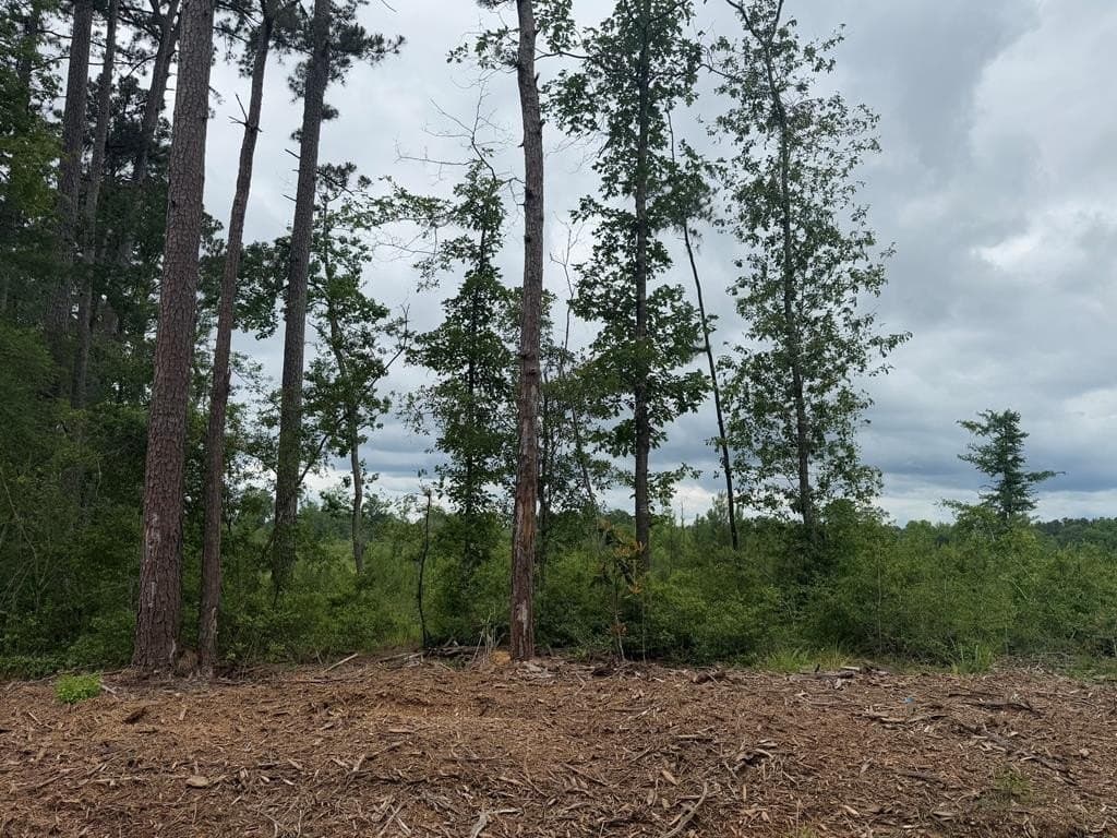 77.35 acres in Texas County - photo 3