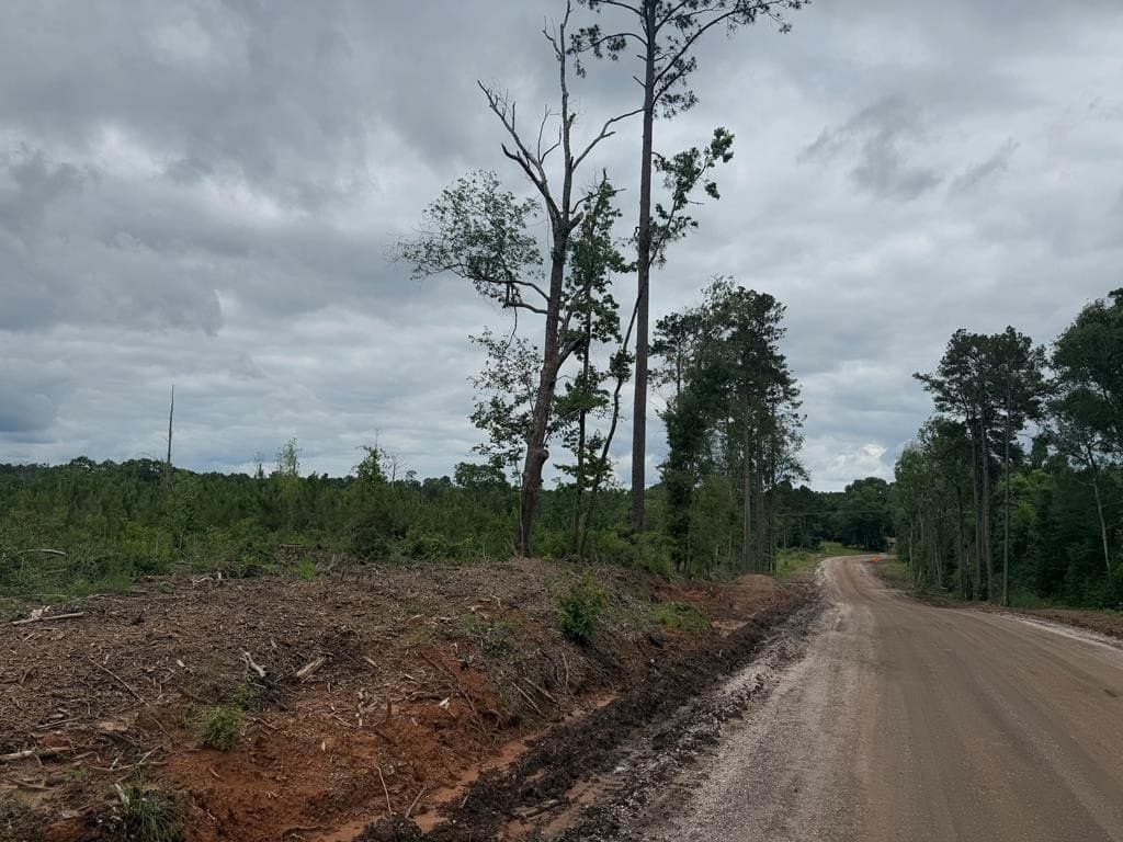 77.35 acres in Texas County - photo 4