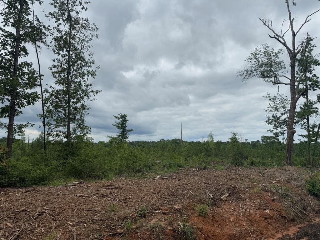77.35 acres in Texas County