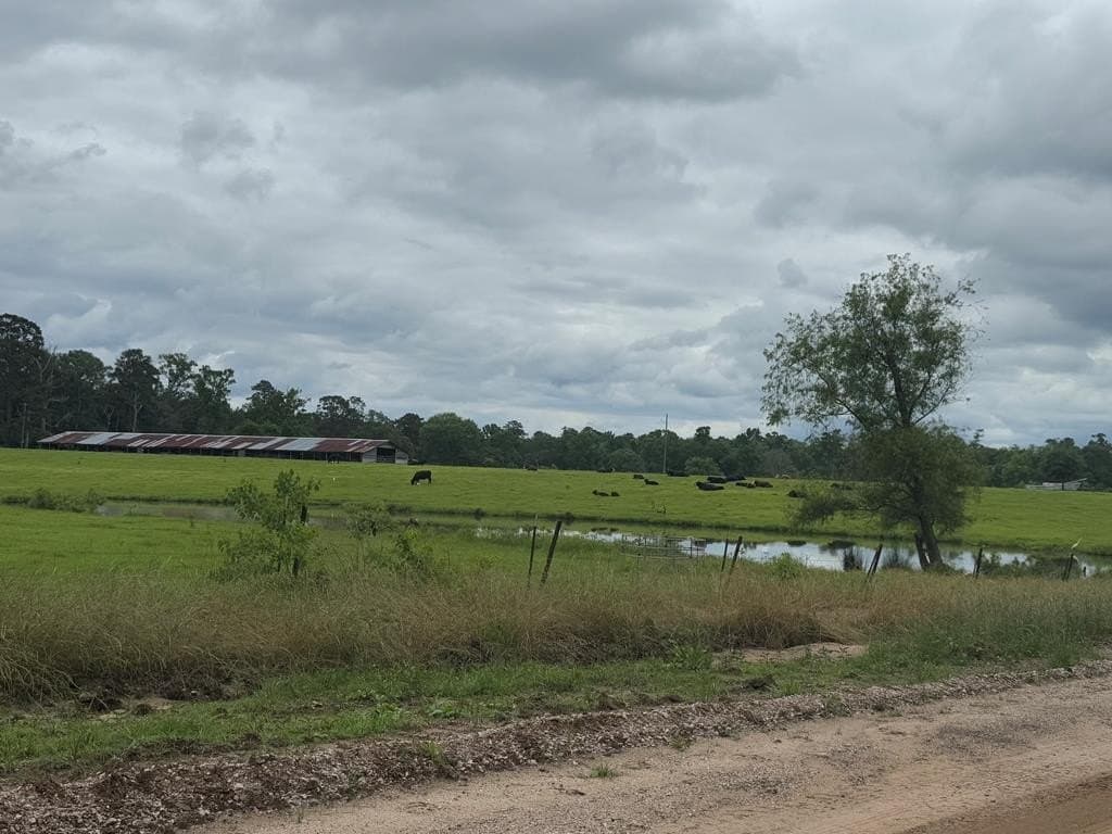 77.35 acres in Texas County - photo 5