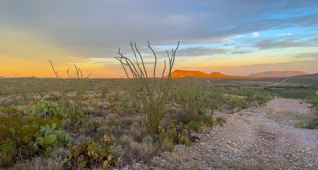 19.83 acres in Brewster County - photo 9