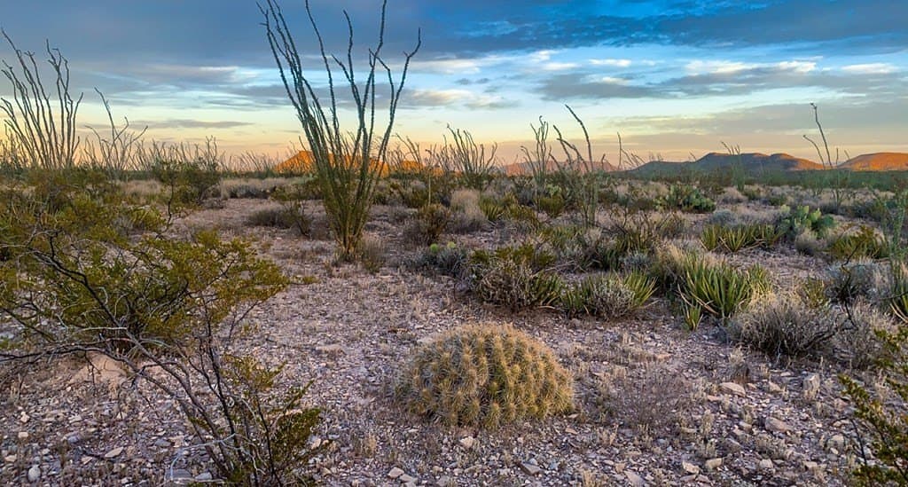 19.83 acres in Brewster County - photo 7