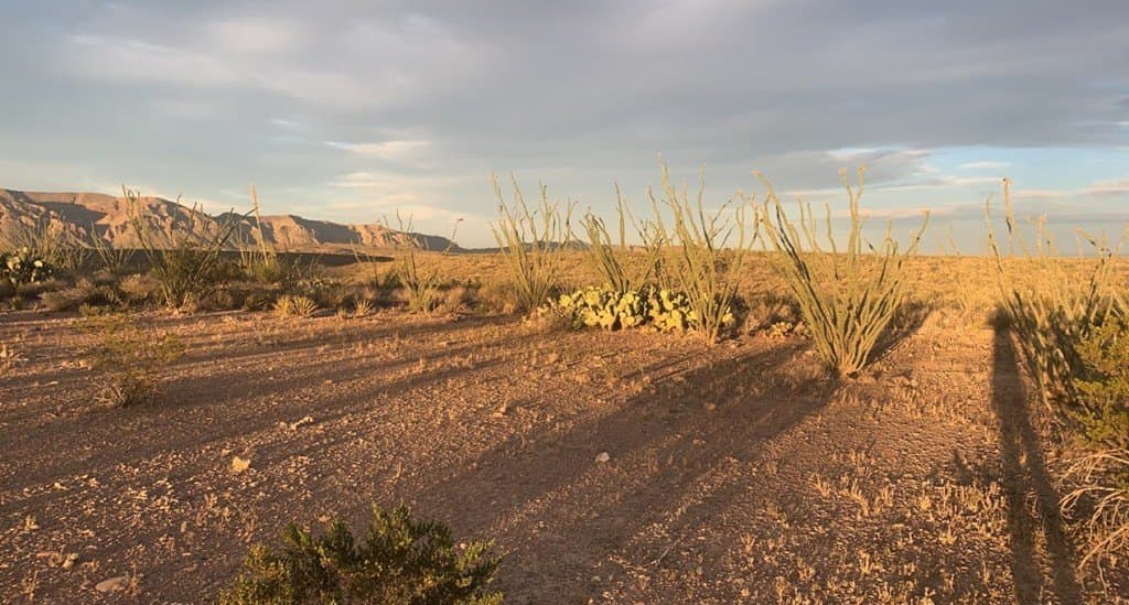 19.83 acres in Brewster County - photo 13