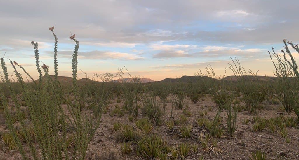 19.83 acres in Brewster County - photo 19