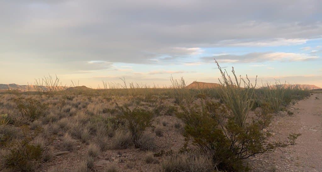 19.83 acres in Brewster County - photo 15