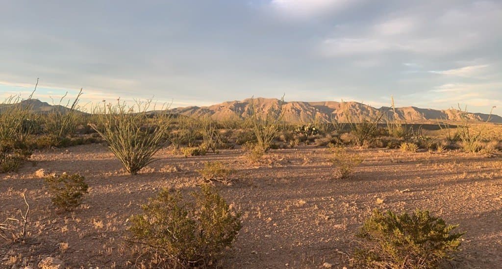 19.83 acres in Brewster County - photo 12