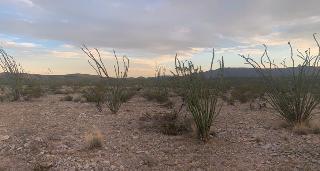 19.83 acres in Brewster County - photo 17