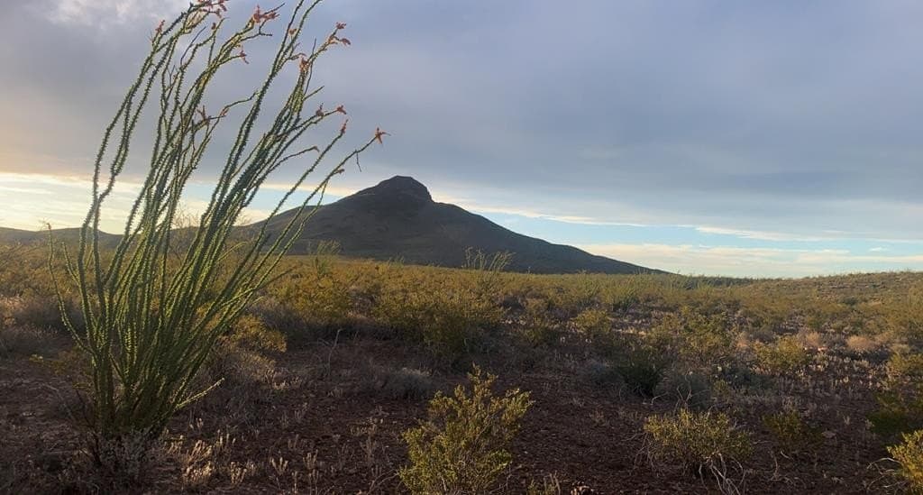 19.83 acres in Brewster County