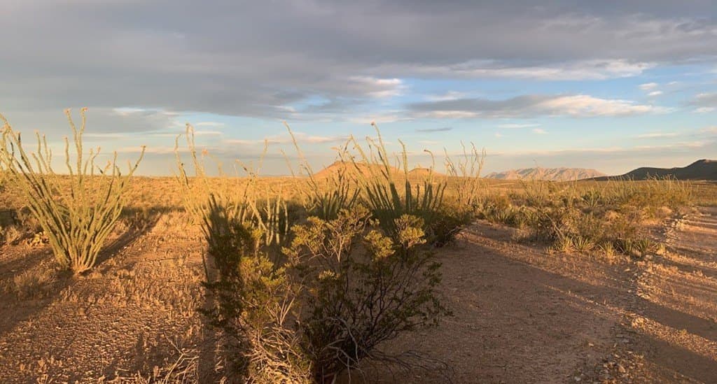 19.83 acres in Brewster County - photo 14