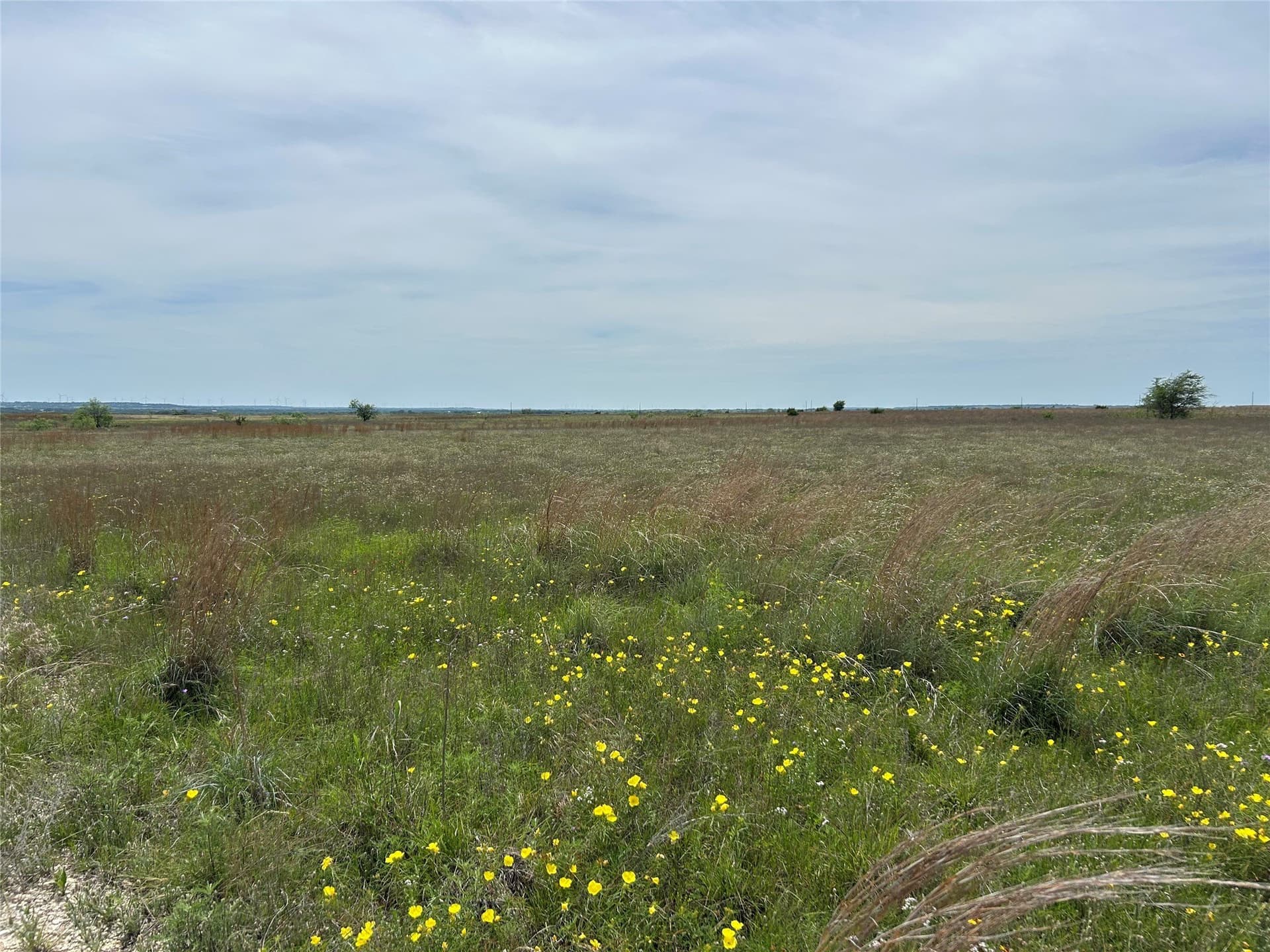 20.06 acres in Hamilton County gallery image 3