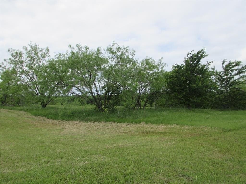 40.53 acres in Falls County gallery image 2