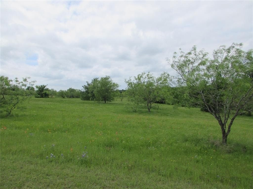 40.53 acres in Falls County gallery image 4