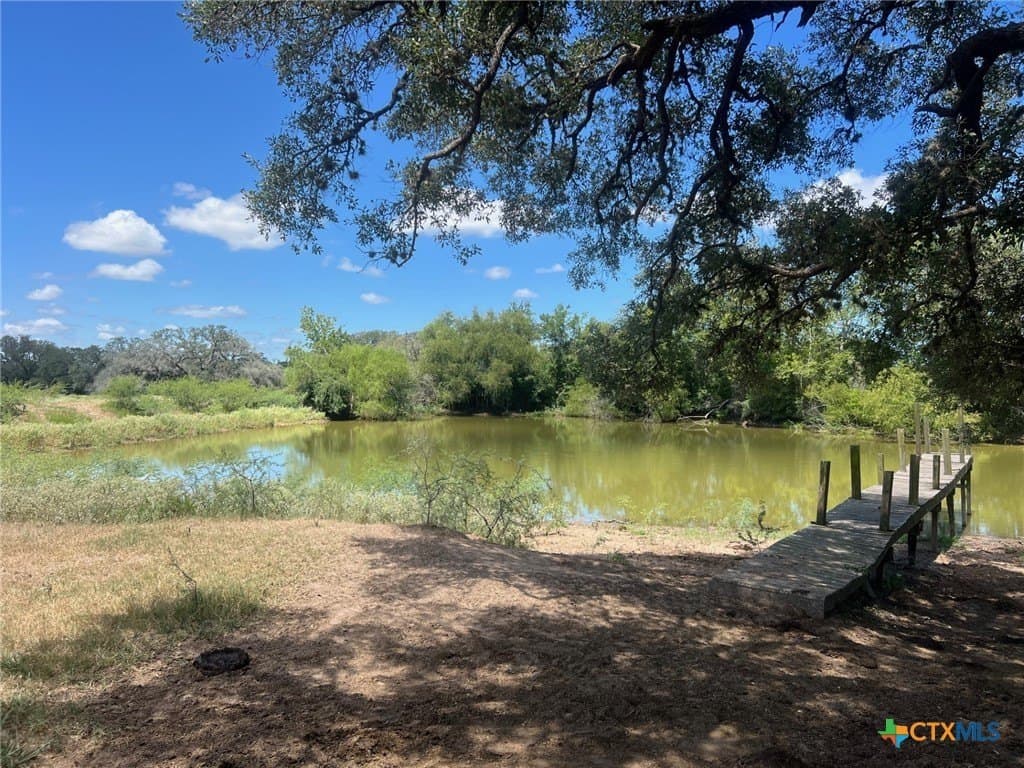 131.32 acres in Lavaca County - photo 6