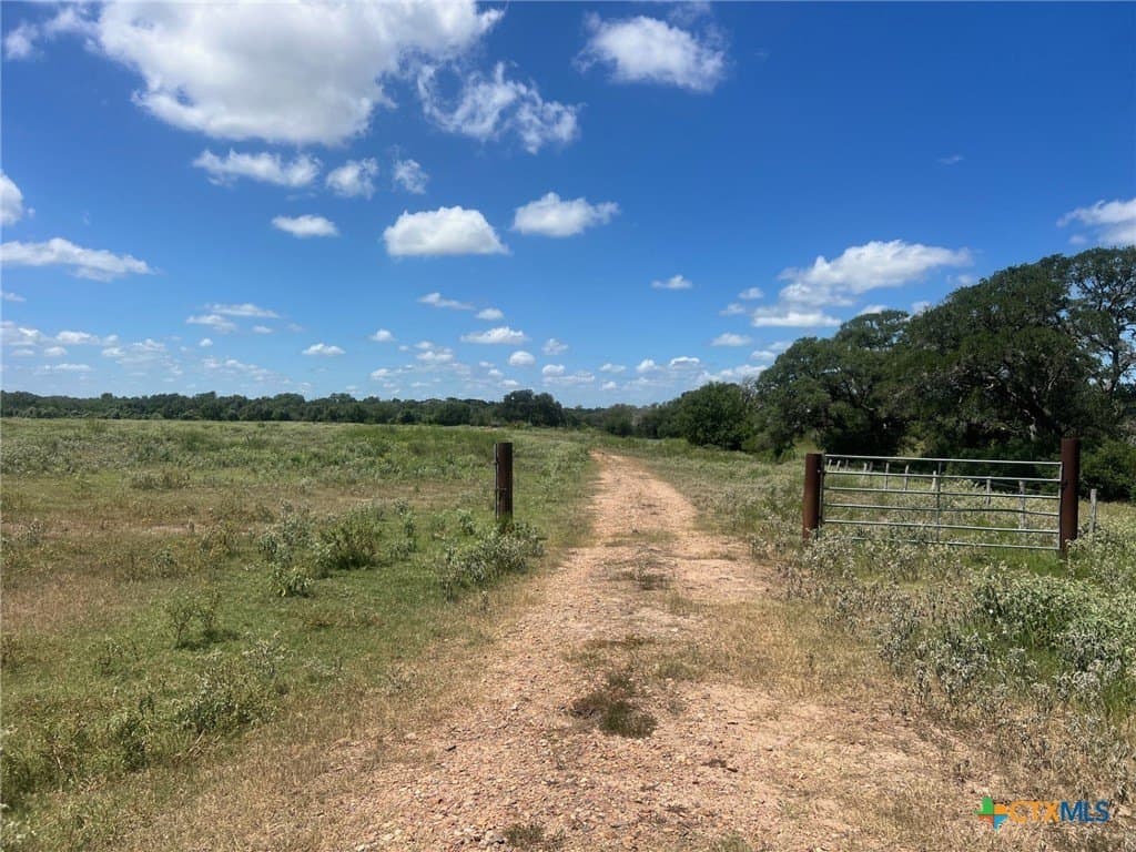131.32 acres in Lavaca County gallery image 3