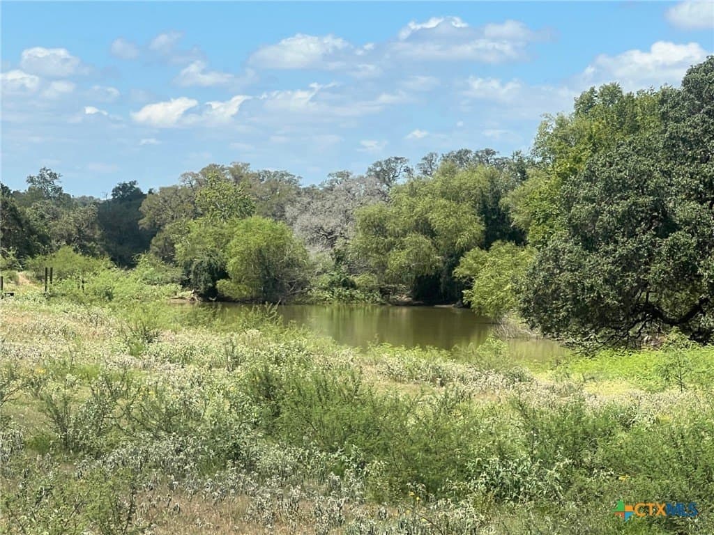 131.32 acres in Lavaca County gallery image 4