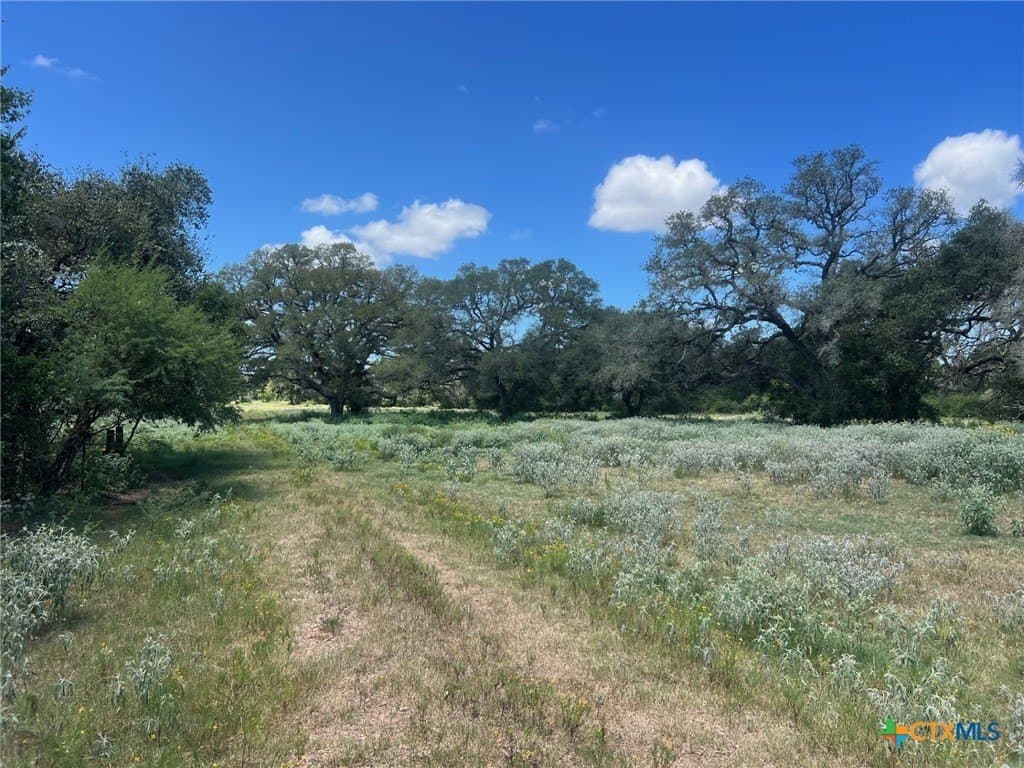 131.32 acres in Lavaca County - photo 10