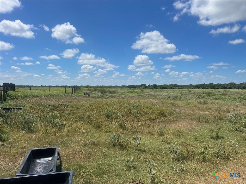 131.32 acres in Lavaca County gallery image 2