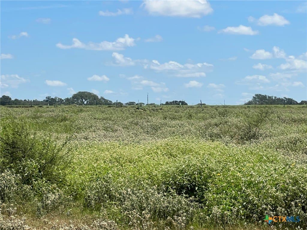 131.32 acres in Lavaca County - photo 8