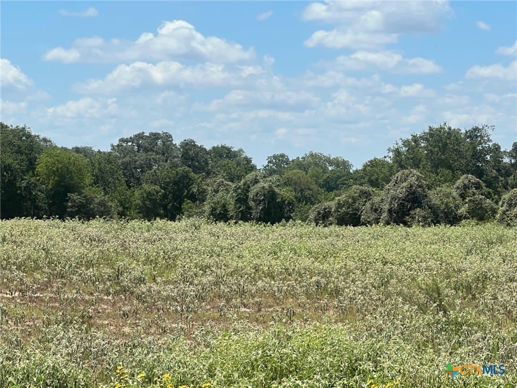 131.32 acres in Lavaca County - photo 9