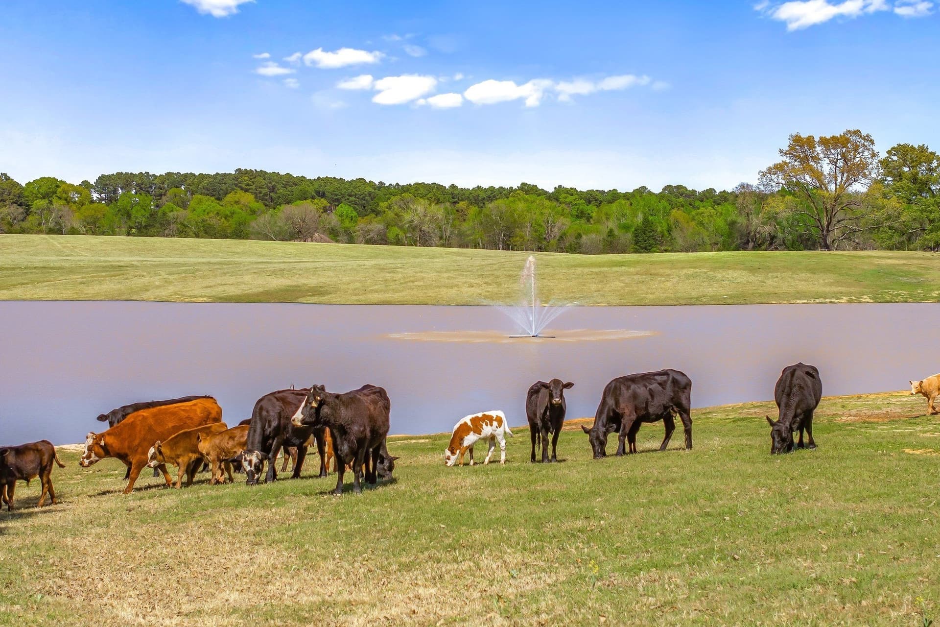 168.87 acres in Smith County - photo 39