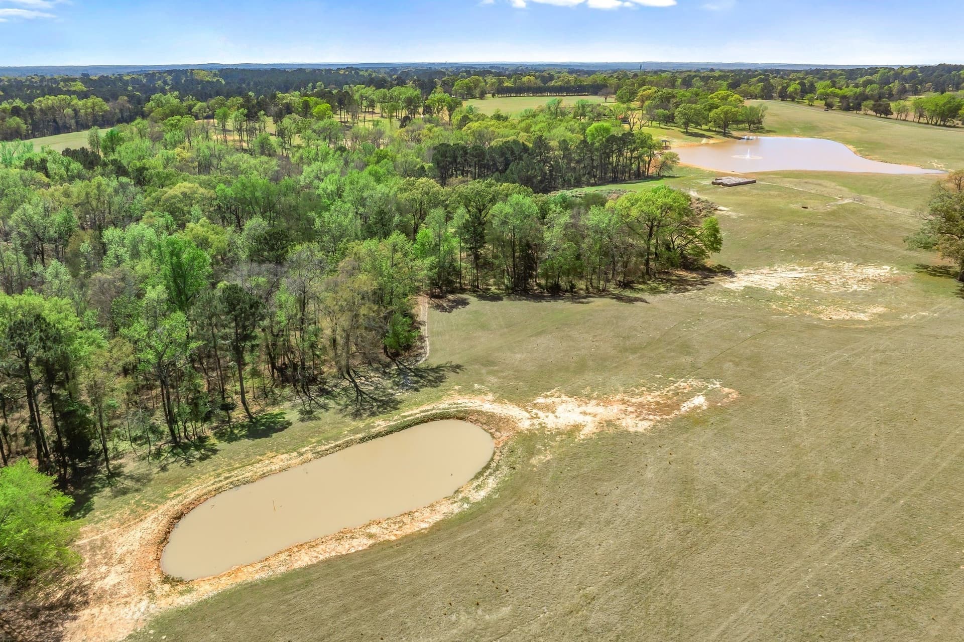 168.87 acres in Smith County - photo 40