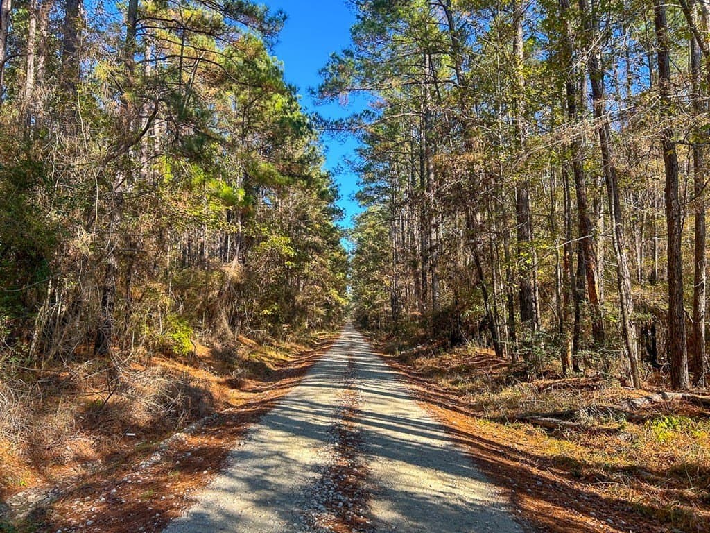 16 acres in Texas County - photo 17