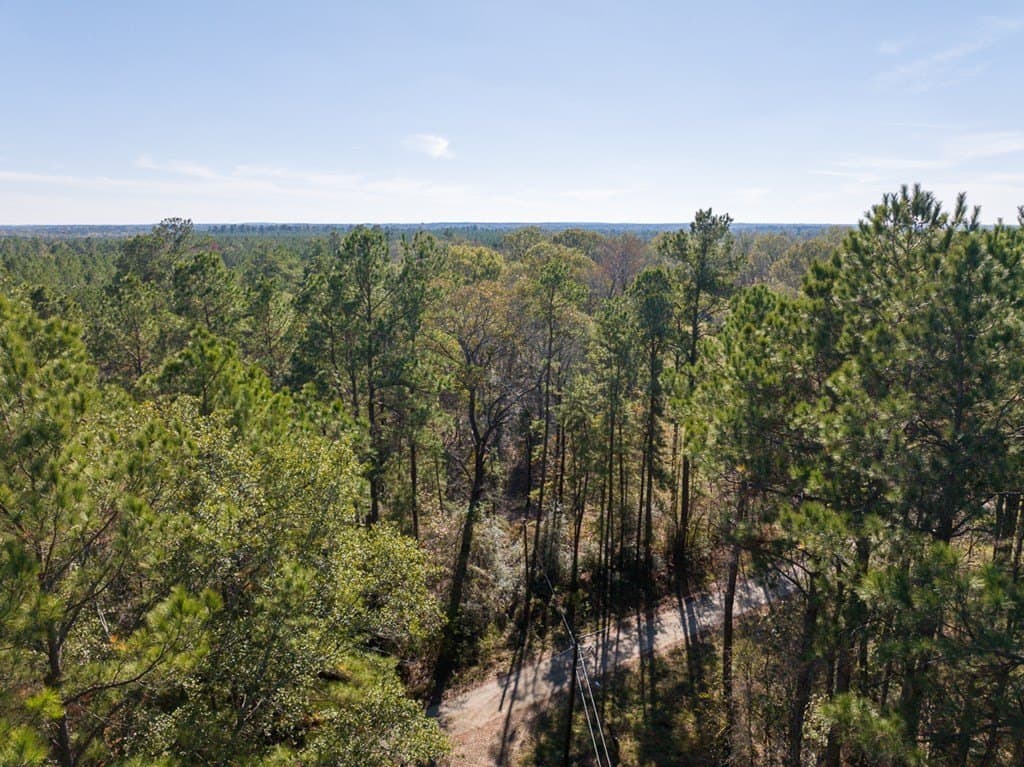 16 acres in Texas County - photo 6