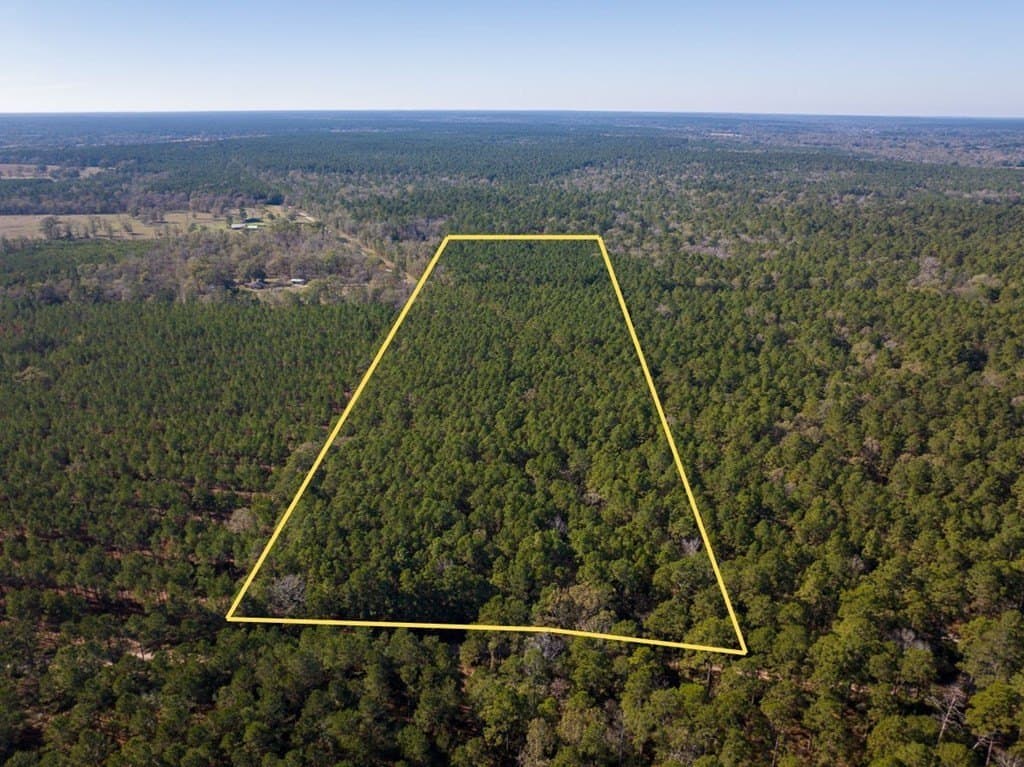 16 acres in Texas County - photo 3