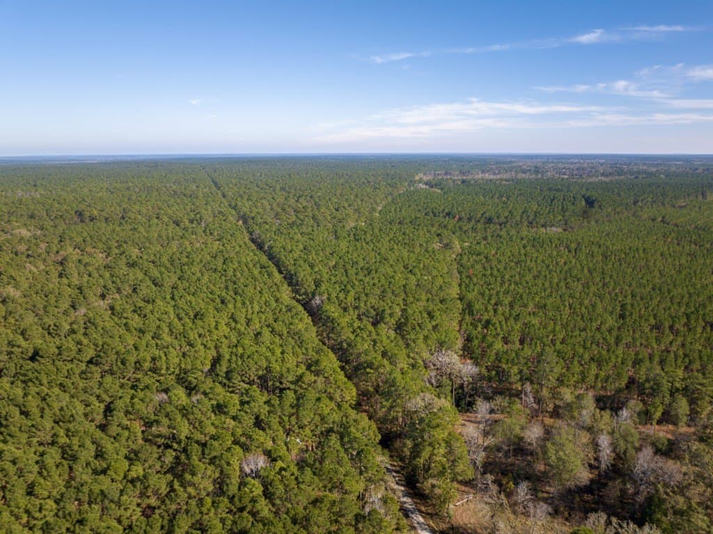 16 acres in Texas County - photo 7