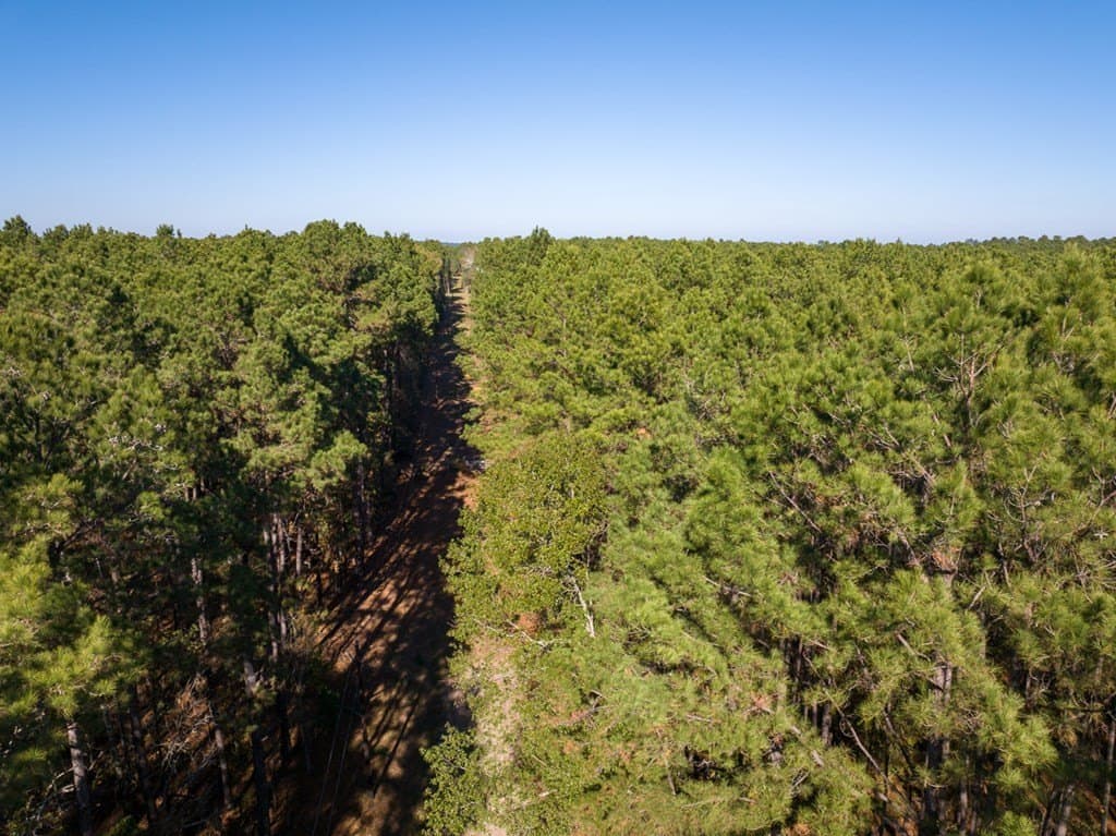 16 acres in Texas County - photo 5