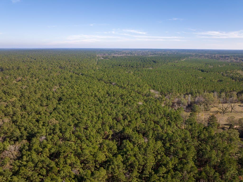 16 acres in Texas County - photo 11
