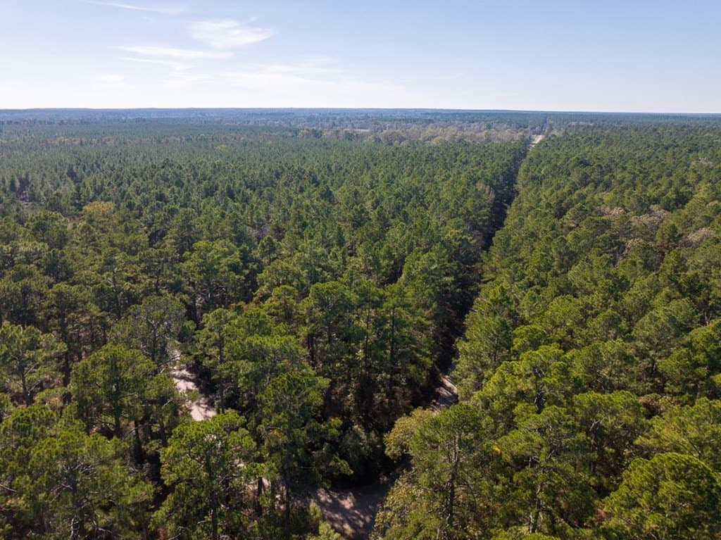 16 acres in Texas County - photo 9