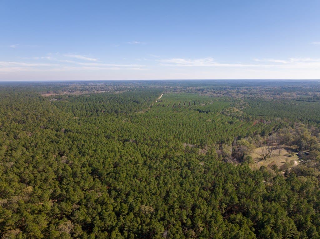 16 acres in Texas County - photo 10
