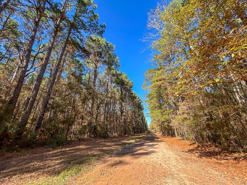 16 acres in Texas County - photo 12