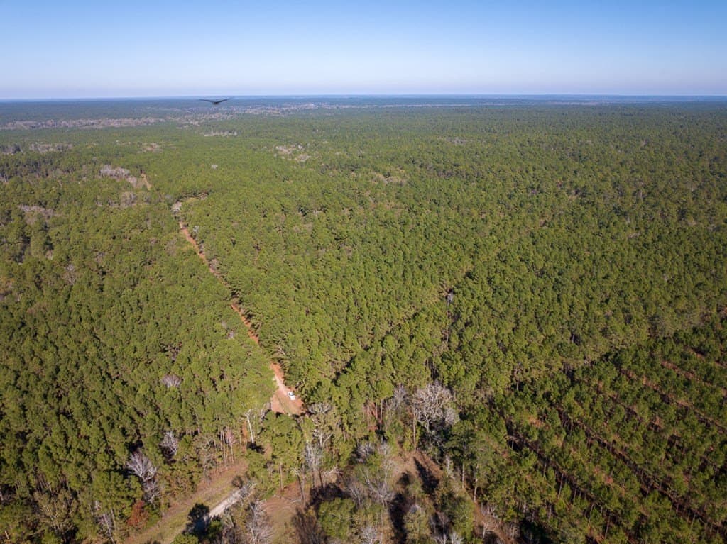 16 acres in Texas County - photo 8