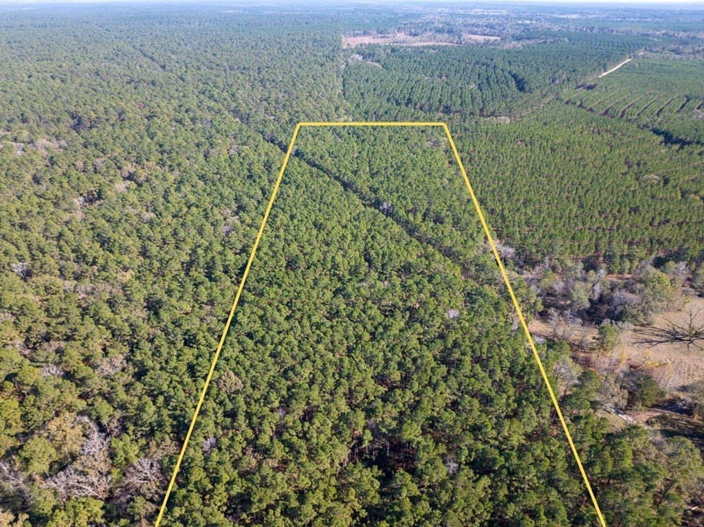 16 acres in Texas County - photo 2