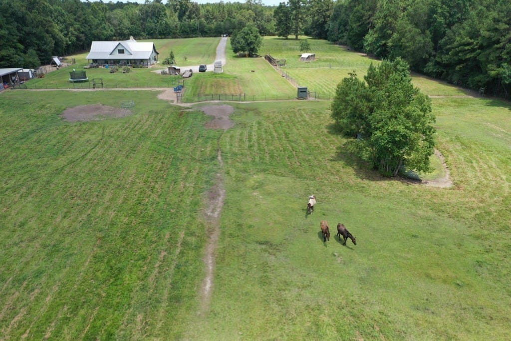 10 acres in Texas County gallery image 3