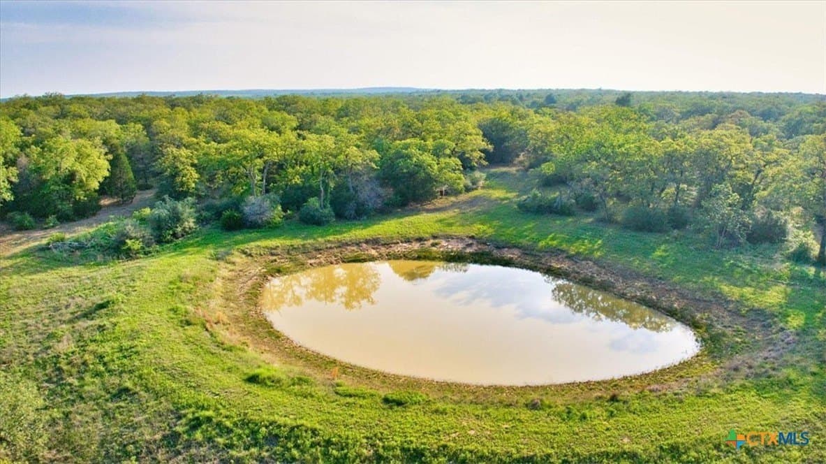 175.72 acres in Williamson County gallery image 4