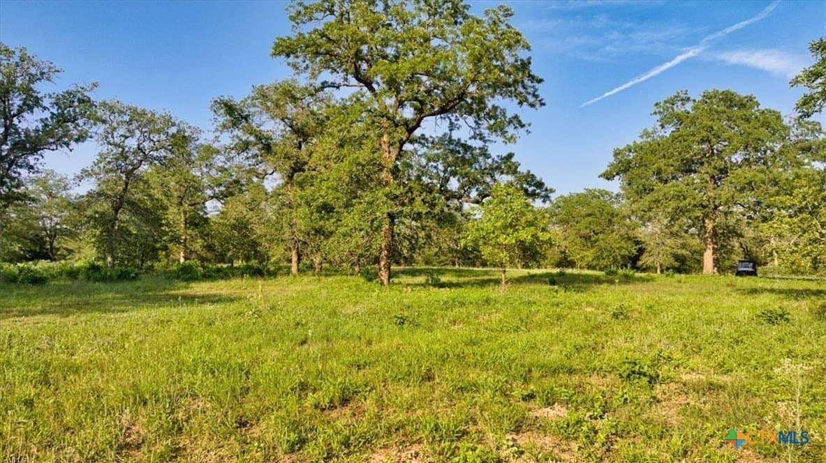 175.72 acres in Williamson County - photo 17