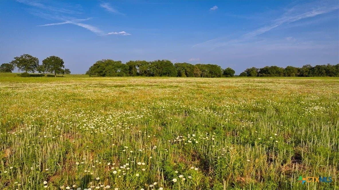 175.72 acres in Williamson County - photo 22