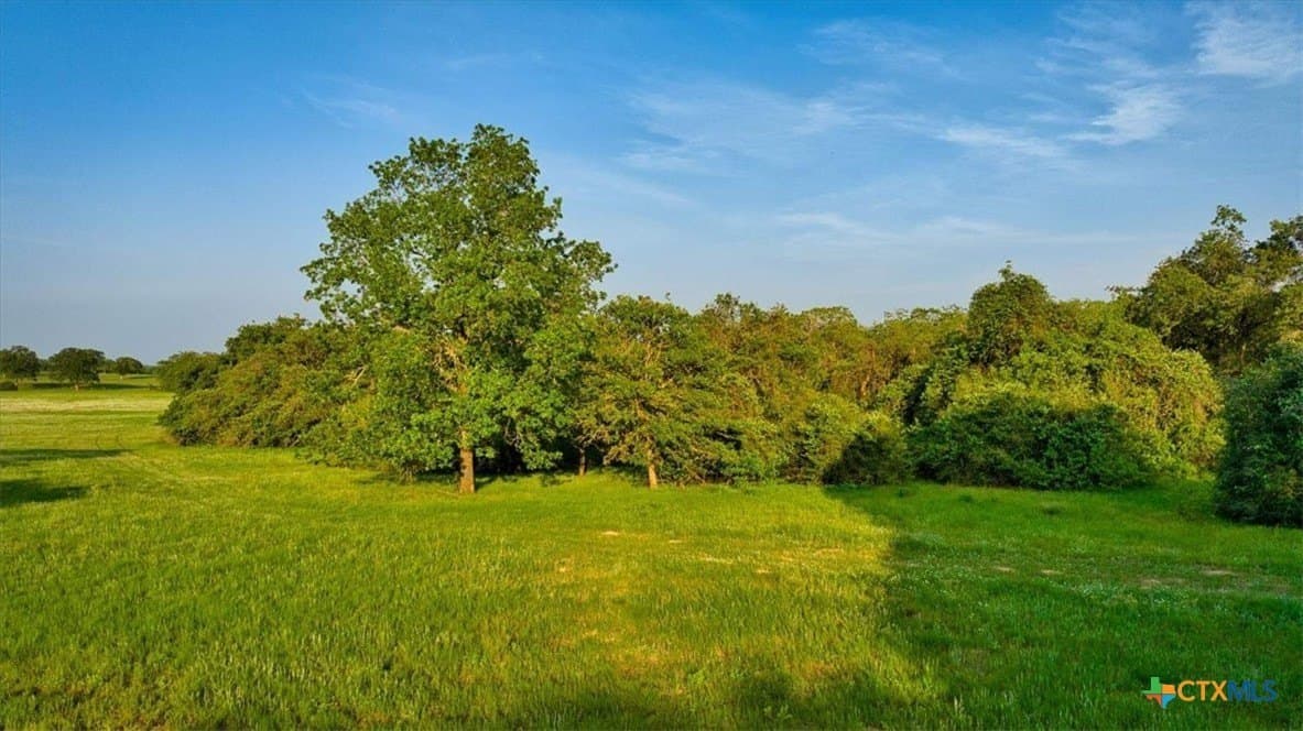 175.72 acres in Williamson County - photo 38