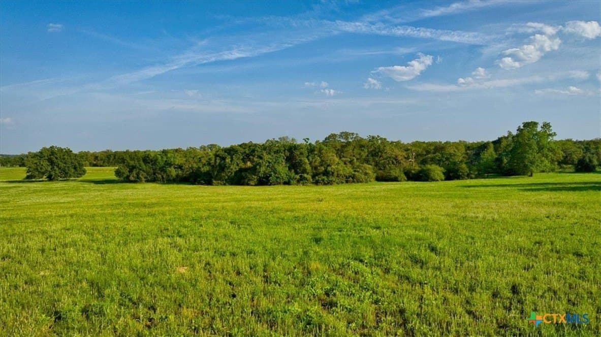 175.72 acres in Williamson County - photo 21